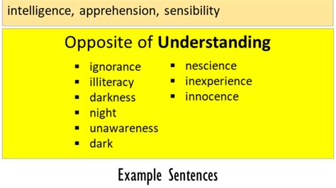 understood antonym|opposite of understand.